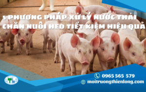 5 PHƯƠNG PHÁP XỬ LÝ NƯỚC THẢI CHĂN NUÔI HEO TIẾT KIỆM HIỆU QUẢ