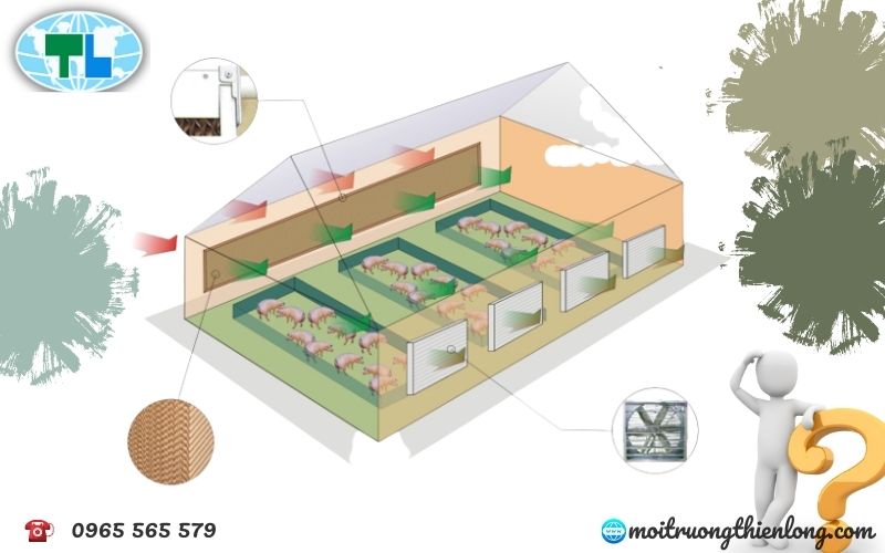 Lắp đặt hệ thống thông gió trại heo